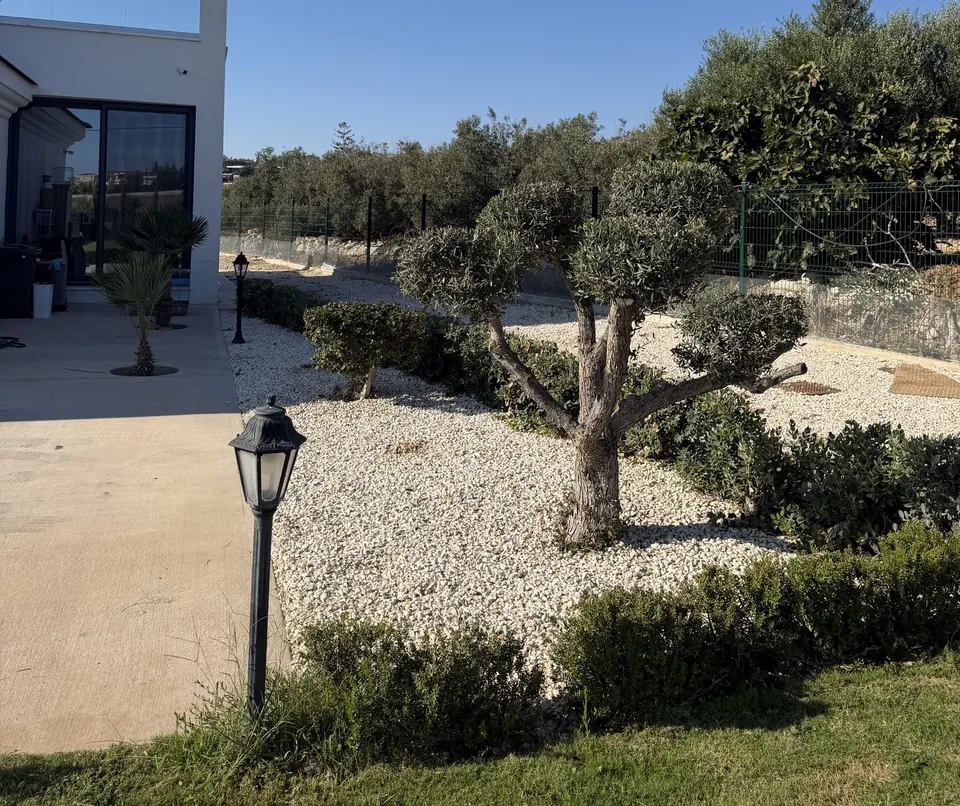 Κλάδεμα δέντρων & θάμνων