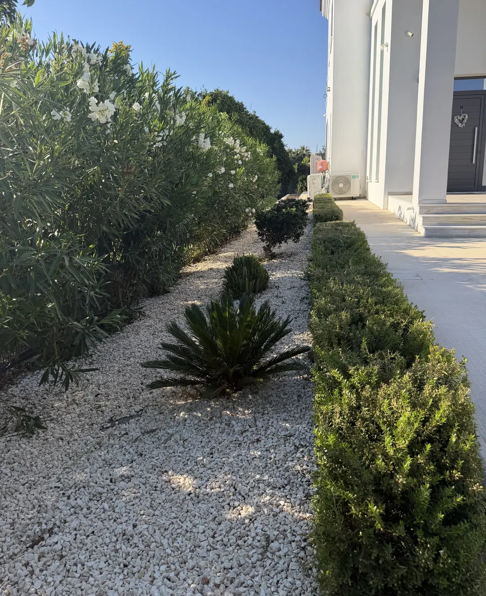Συντήρηση κήπου