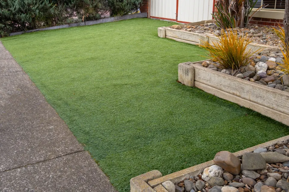 Landscaped garden with lawn and planting