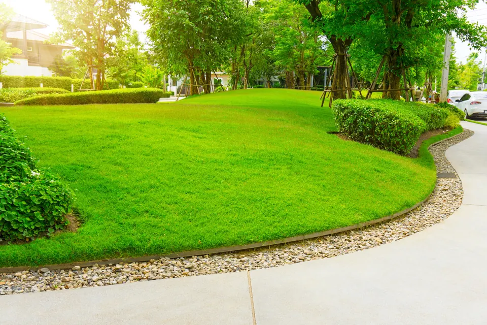 Gardener tidying a garden bed